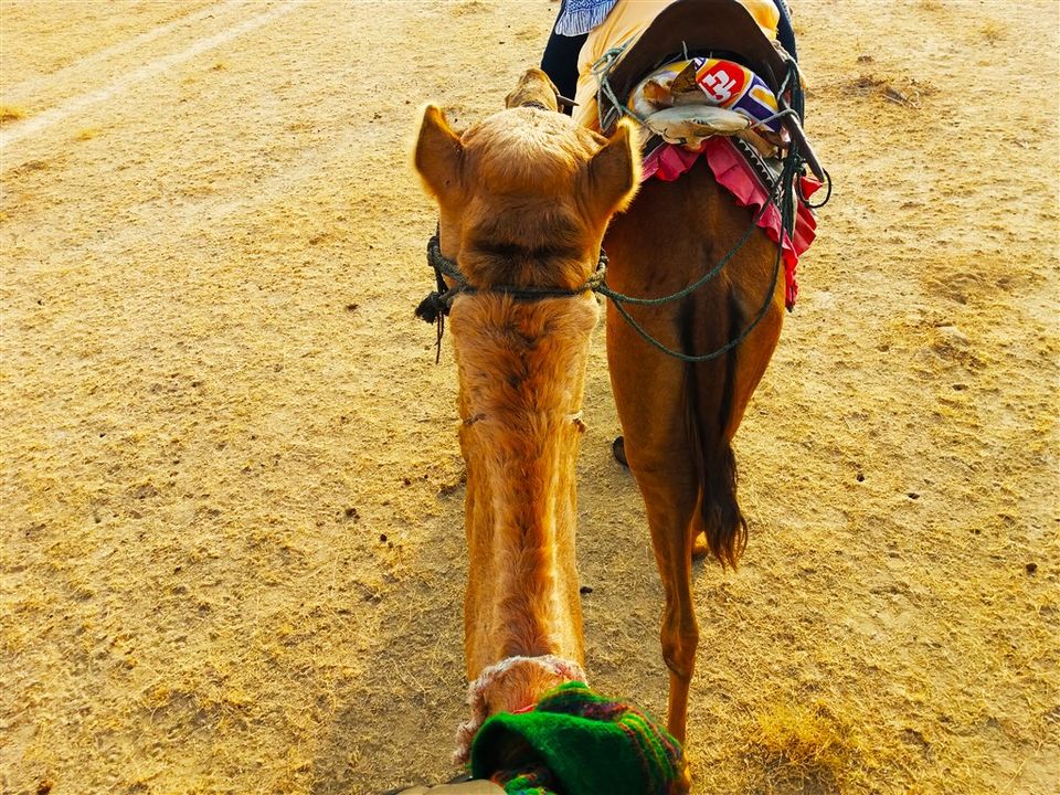 Photo of Camel Safari and Desert Camping at Jaisalmer (Part 1) in non-touristic area by Raktim