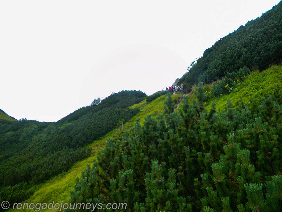 Photo of Hiking to Giewont in Zakopane, Poland at Tatra National Park by Raktim