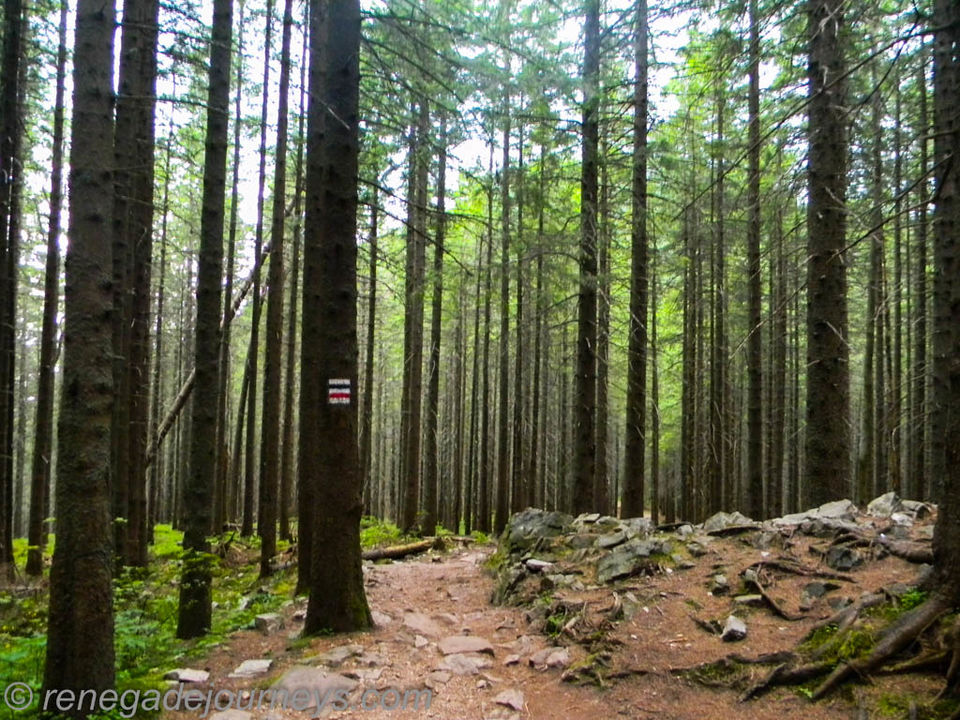 Photo of Hiking to Giewont in Zakopane, Poland at Tatra National Park by Raktim