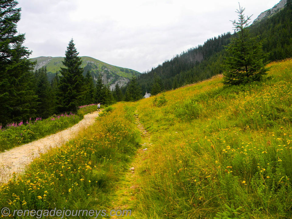 Photo of Hiking to Giewont in Zakopane, Poland at Tatra National Park by Raktim