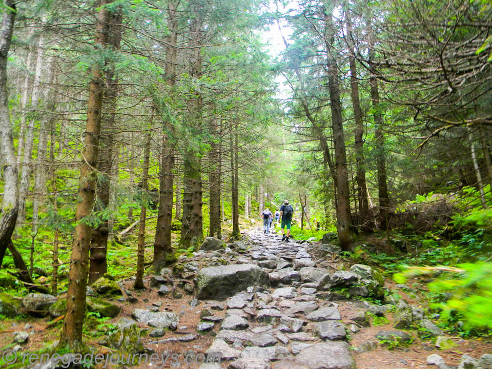 Photo of Hiking to Giewont in Zakopane, Poland at Tatra National Park by Raktim