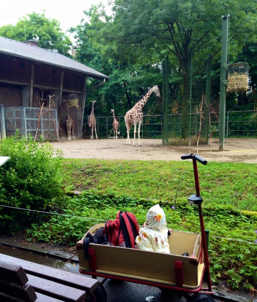 Photo of How I solo backpacked three countries with my baby by Deenaz Raisinghani