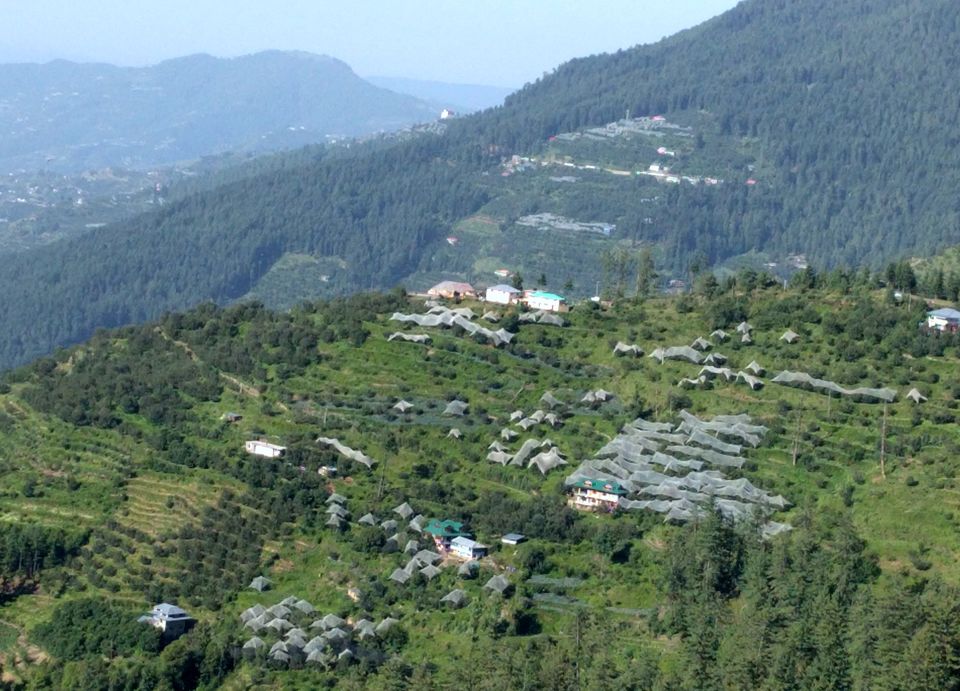 Photo of Narkanda, Himachal Pradesh, India by kavya pant