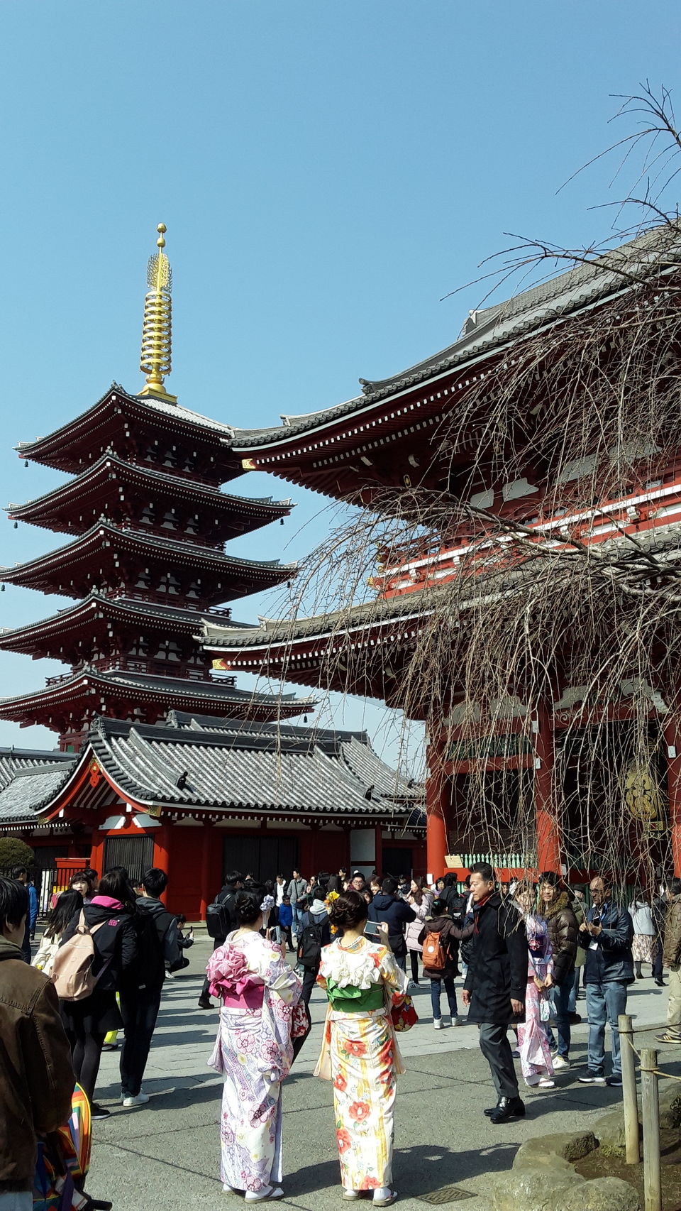 Photo of When I Fell in Love With Tokyo by Kaustav Padmapati