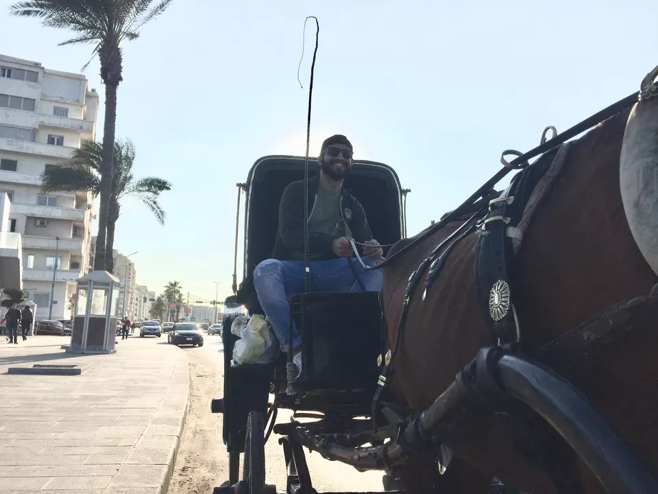 Photo of Bibliotheca Alexandrina, Al Azaritah WA Ash Shatebi, Qesm Bab Sharqi, Egypt by Hitesh Sharma