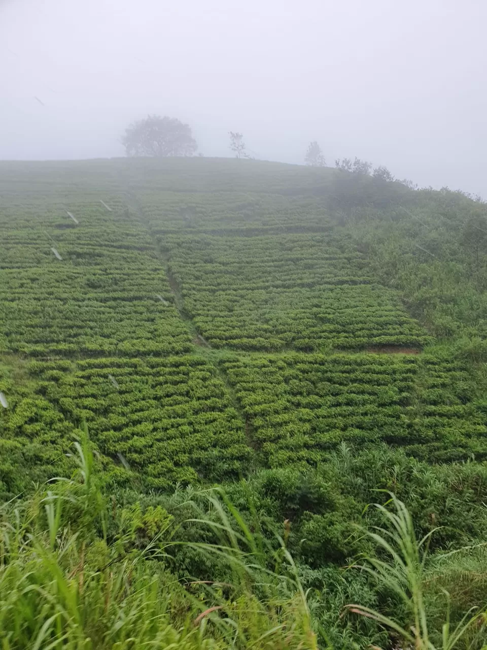 Photo of Nuwara Eliya, Sri Lanka by Hitesh Sharma