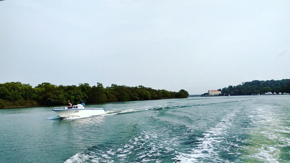 Photo of Boat Rides in Goa 10/12 by Rediscovery Cruises