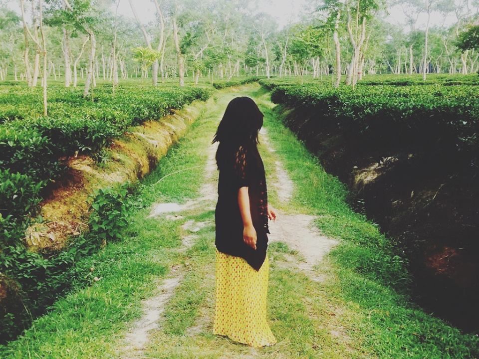 Photo of Sylhet Division, Bangladesh by Jafrina Binte Shahid