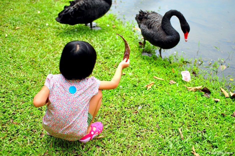 Photo of Budget Tour in Singapore: 3 Cost free Activities! 1/1 by travelsingapore99