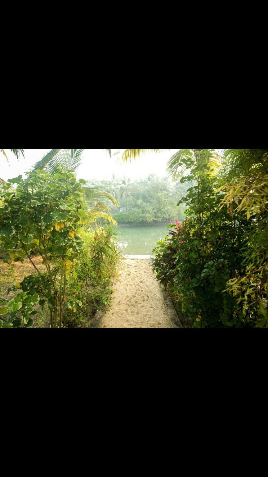 Photo of Jumadi Islands, in backwaters of river Suvarna, near Udipi, Mangalore by Gautam Shetty
