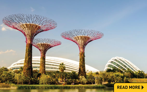Photo of Singapore has these 8 beautiful temples, waiting for your visit 1/1 by Sara Thomas