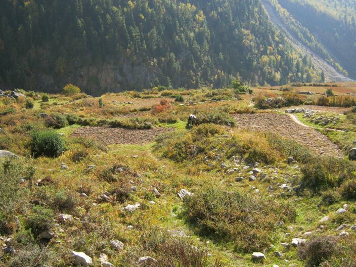 Photo of Around chitkul by Apoorv Ahlawat
