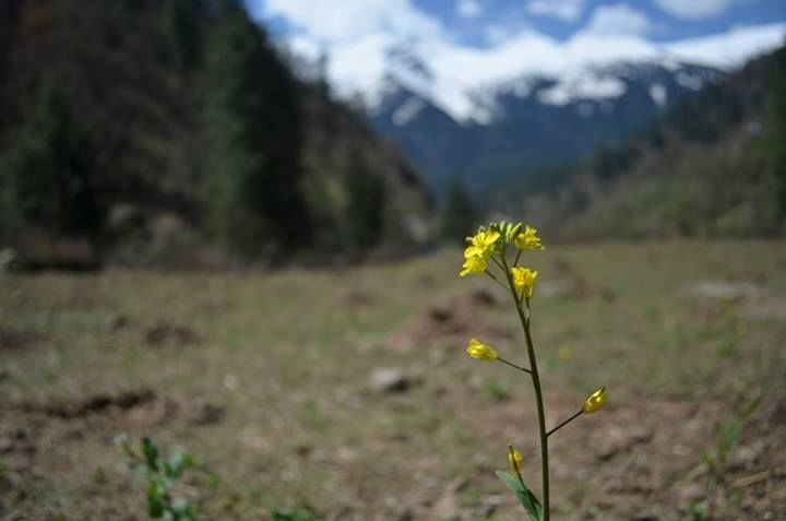 Photo of Tosh - The Beginning by Apoorv Ahlawat