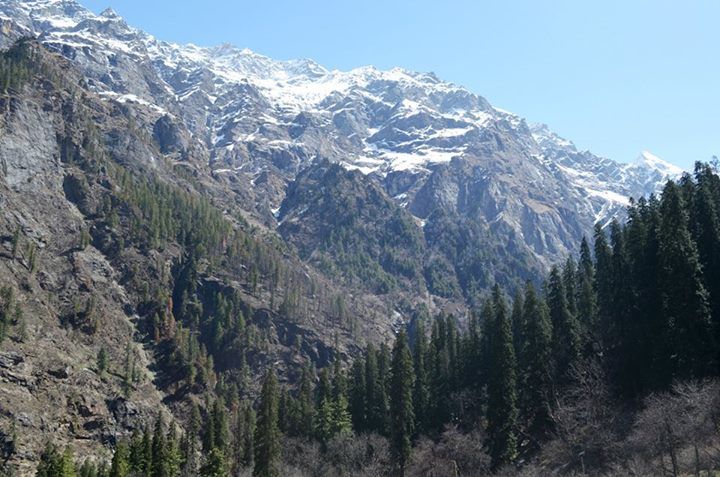 Photo of Tosh - The Beginning by Apoorv Ahlawat
