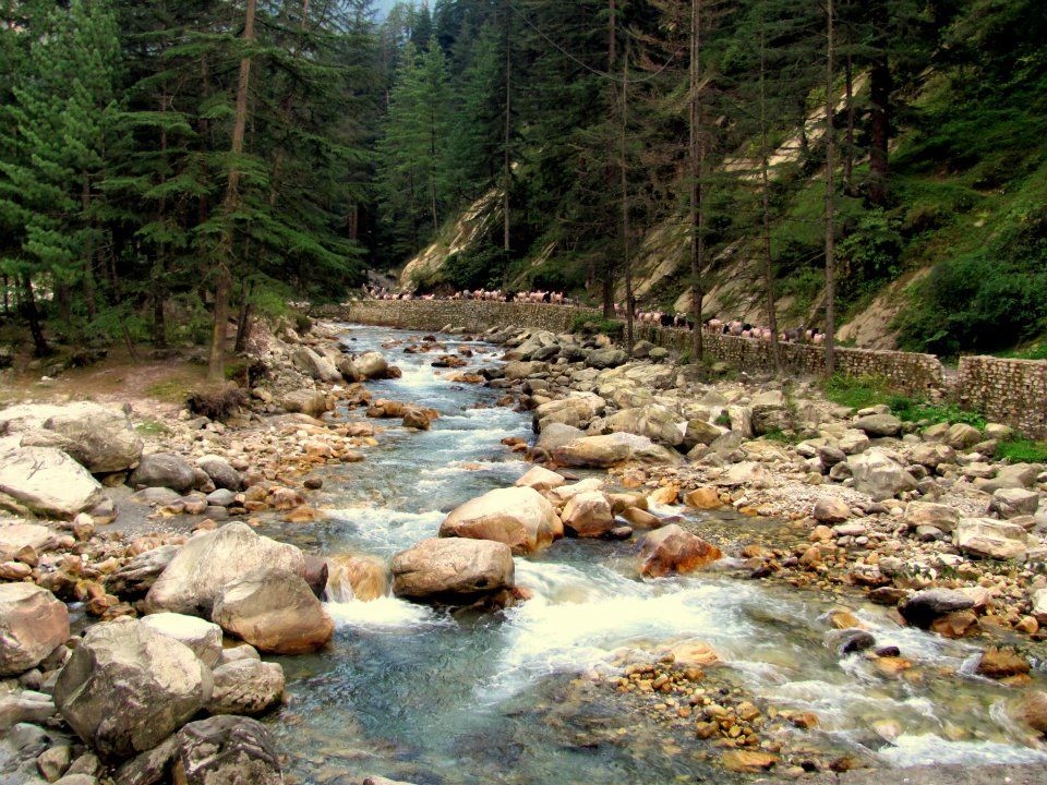 Photo of Tosh - The Beginning by Apoorv Ahlawat