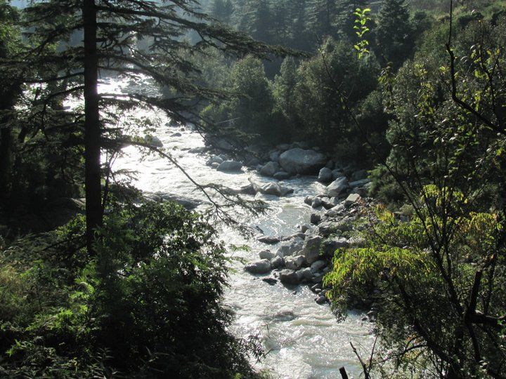 Photo of Say 'High' - Kasol by Apoorv Ahlawat
