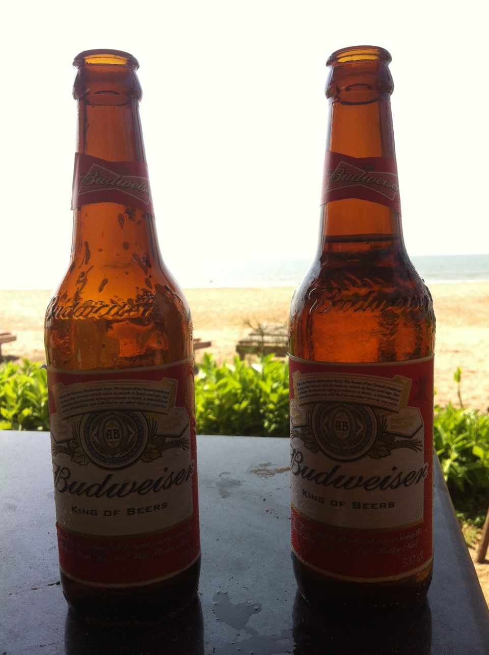 Photo of The Goan Vacation 7/14 by Apoorv Ahlawat