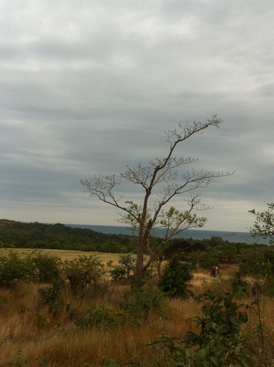 Photo of The Goan Vacation 8/14 by Apoorv Ahlawat
