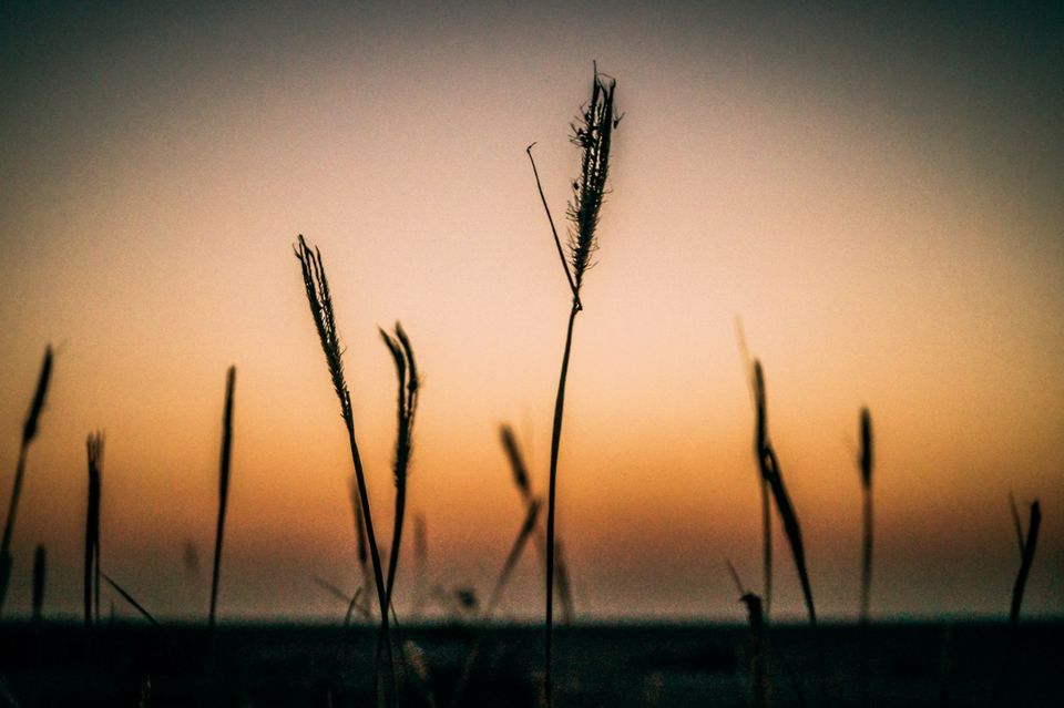 Photo of Sambhar: Just 80 km From Jaipur Lies The Most Stunning Alternative To The Rann Of Kutch by Saurabh Panwar