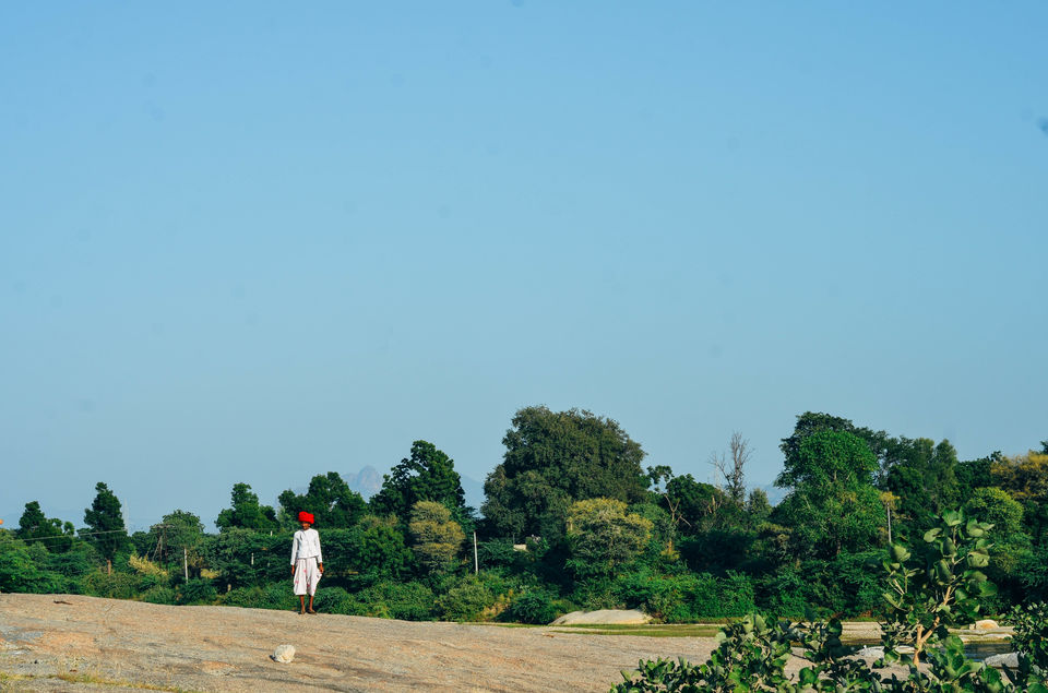 Photo of The Jawai Hills Have Leopard Eyes by Saurabh Panwar