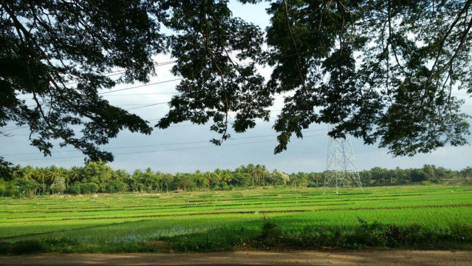 Photo of A Day in Royal City “Mysore” 1/9 by Bhawana Thakur