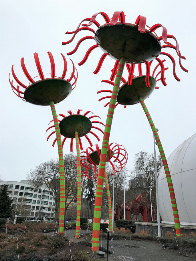 Photo of Strolling in Seattle 5/11 by Bhawana Thakur
