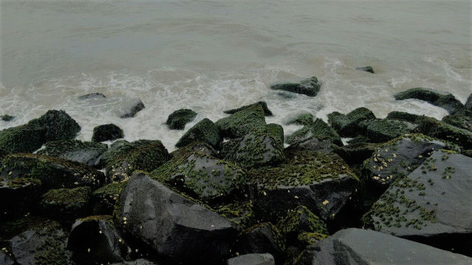 Photo of Siblings’ escape to Pondicherry 2/7 by Bhawana Thakur