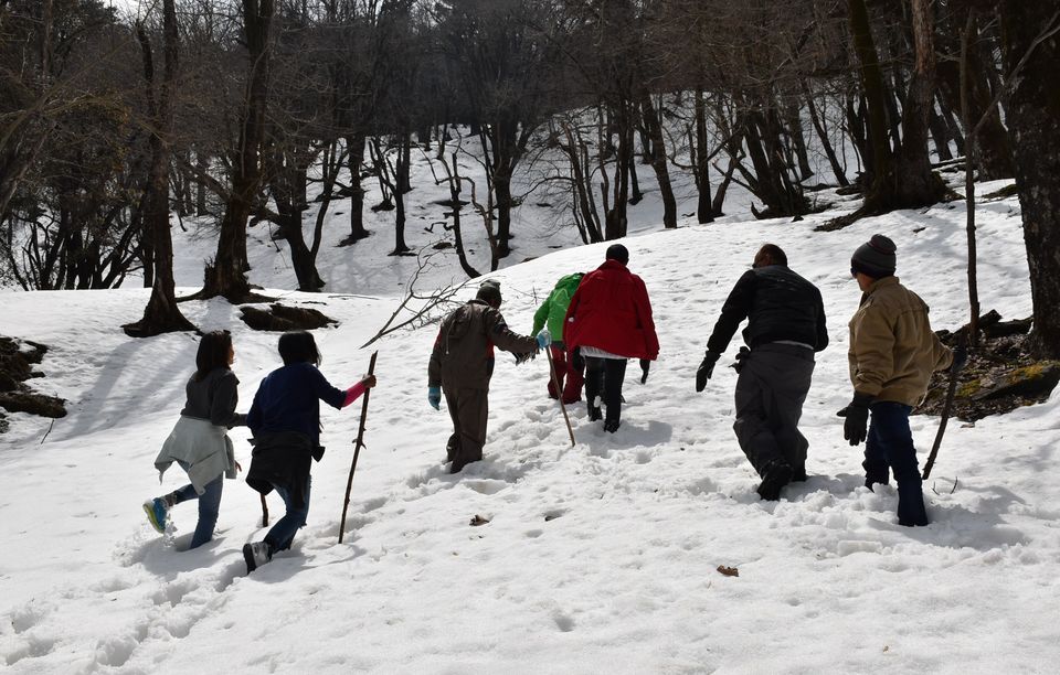 Photo of Manali Snow Trekkkk 1/4 by Raj Agrawal