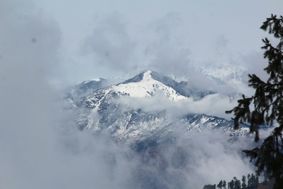 Photo of Fight The White by Akhil Ghai