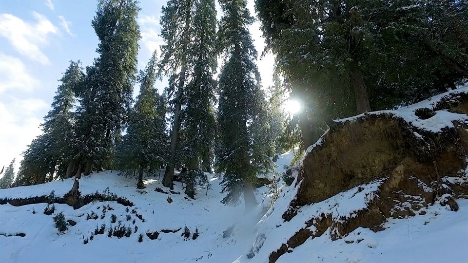 Photo of Fight The White by Akhil Ghai