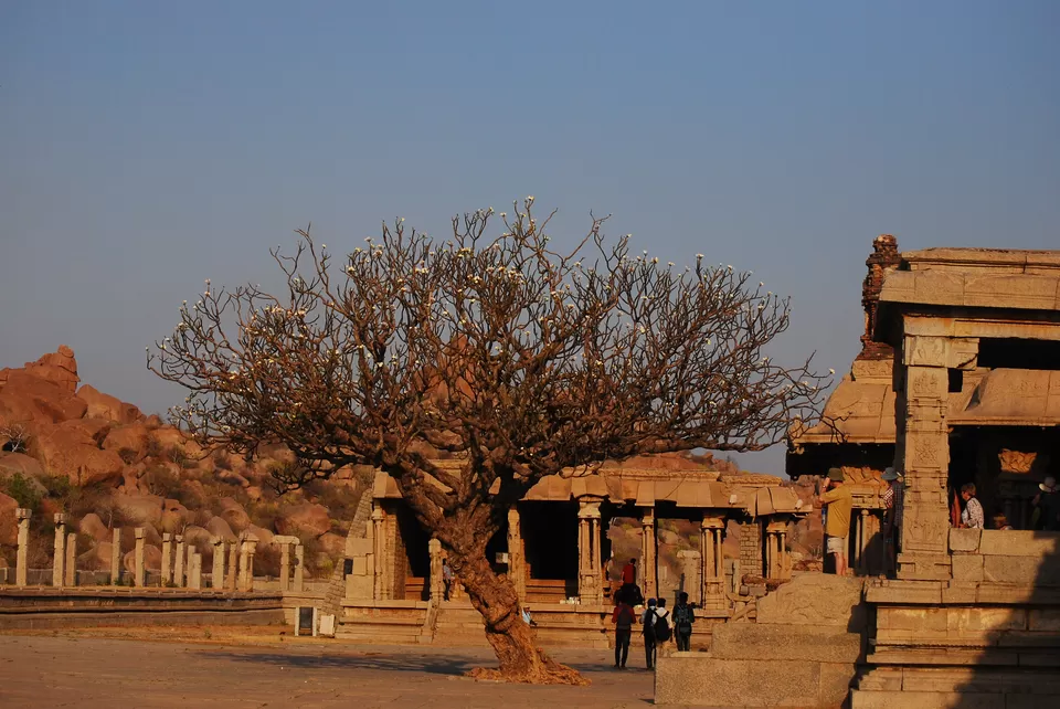 Photo of Vitthala Temple, Hampi, Karnataka, India by Ruchira