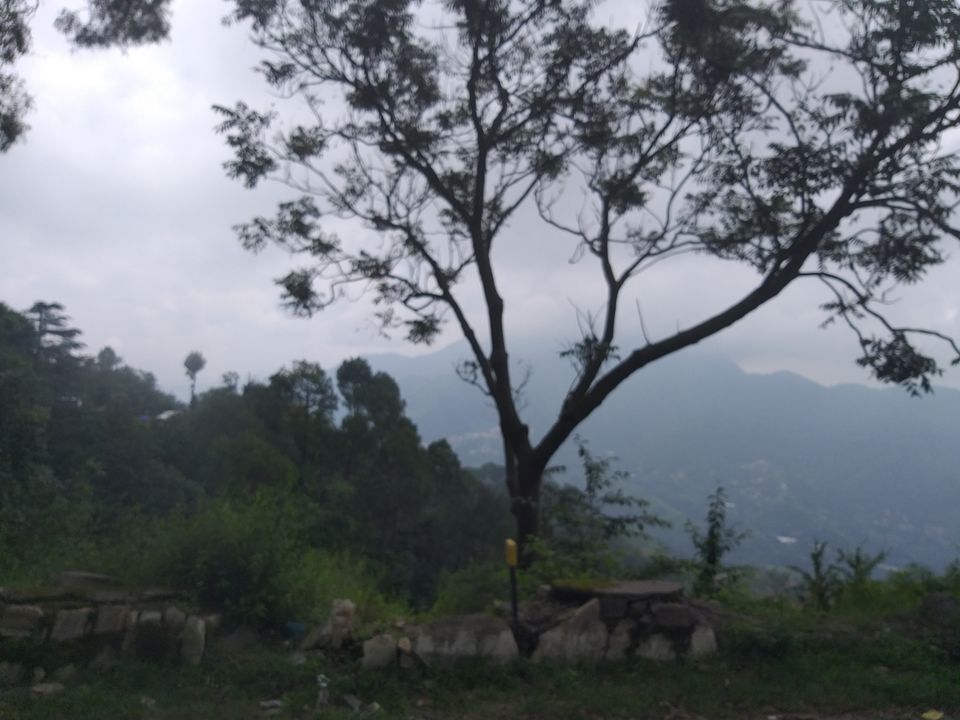 Photo of Shimla, Himachal Pradesh, India by Nivedita Bhosekar