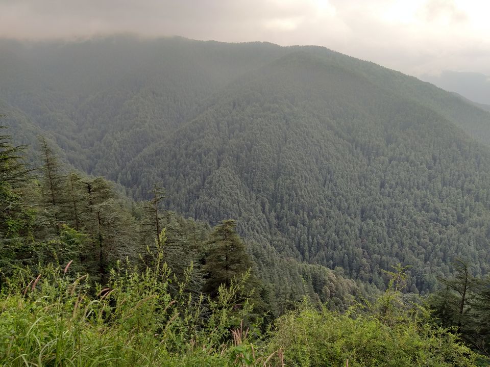 Photo of Kufri, Himachal Pradesh, India by Nivedita Bhosekar