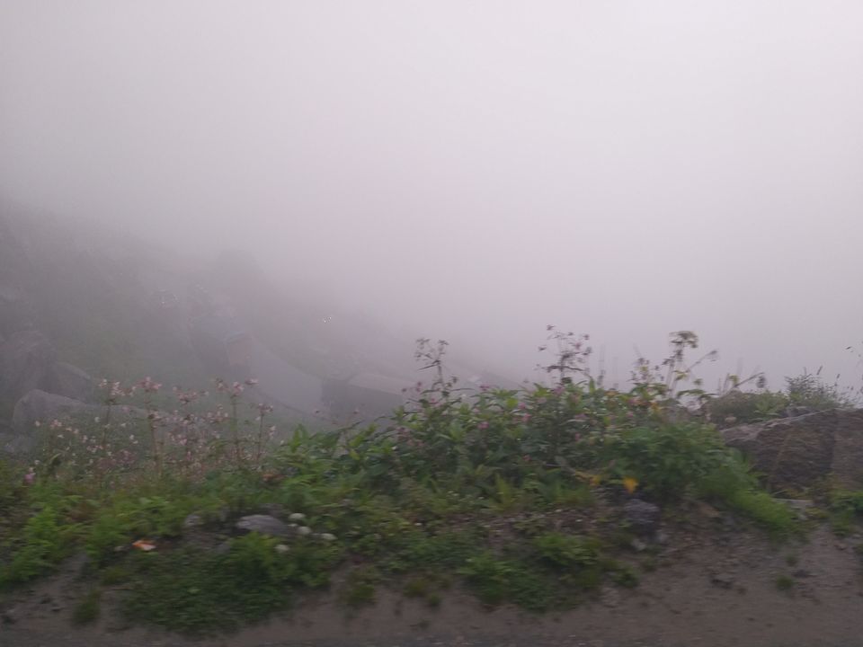 Photo of Manali, Himachal Pradesh, India by Nivedita Bhosekar