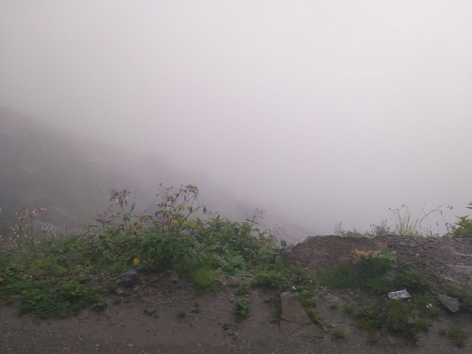 Photo of Manali, Himachal Pradesh, India by Nivedita Bhosekar