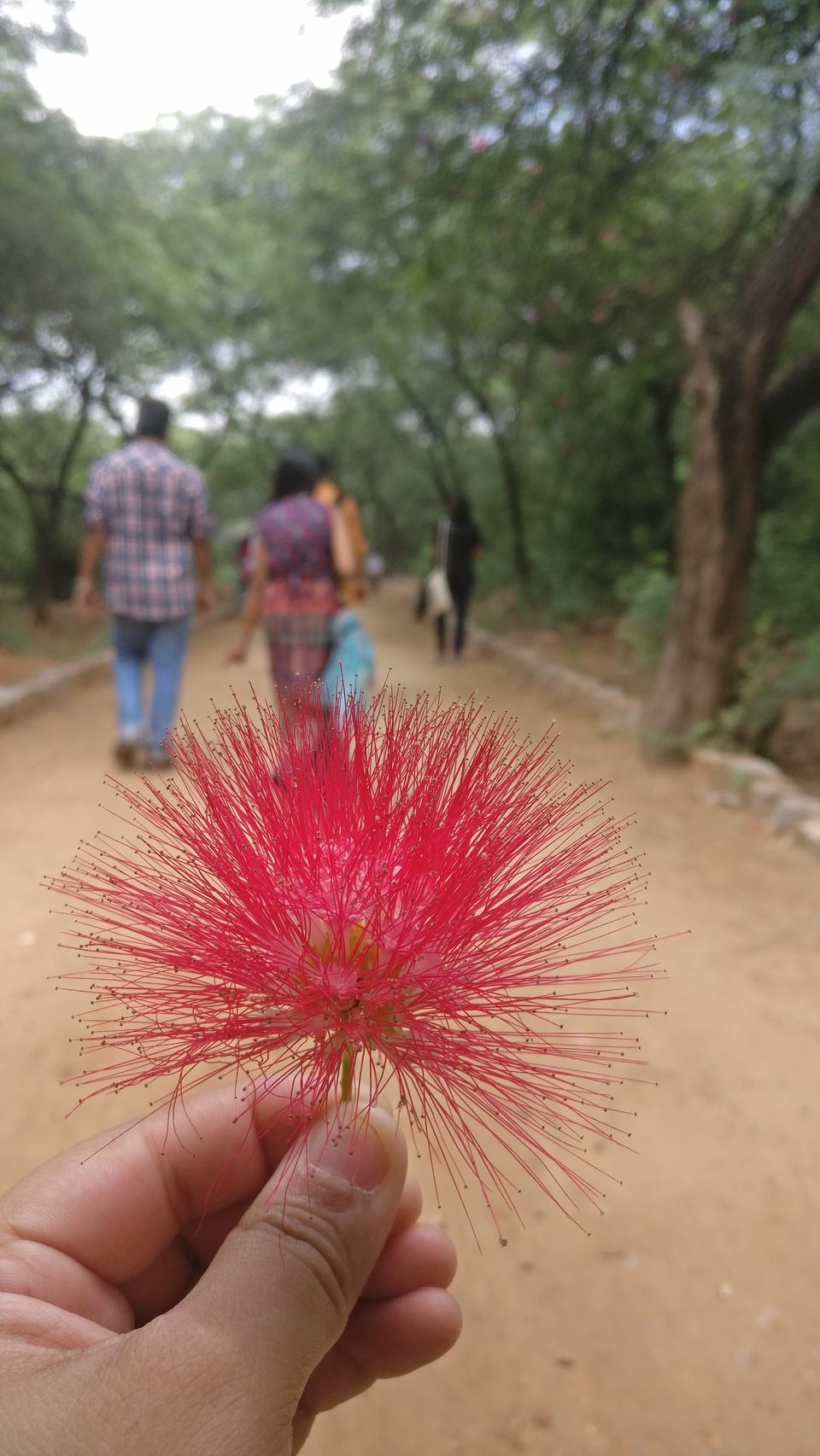 Photo of Sunday at Mehrauli Archeological Park 1/8 by VaNi
