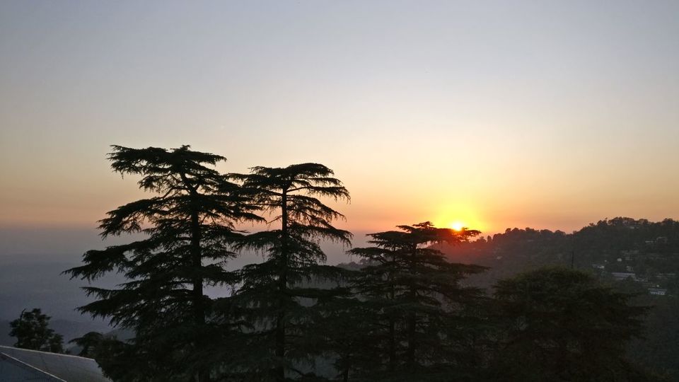 Photo of How to make the most of your Mcleodganj and Dharamshala vacay? 8/10 by VaNi