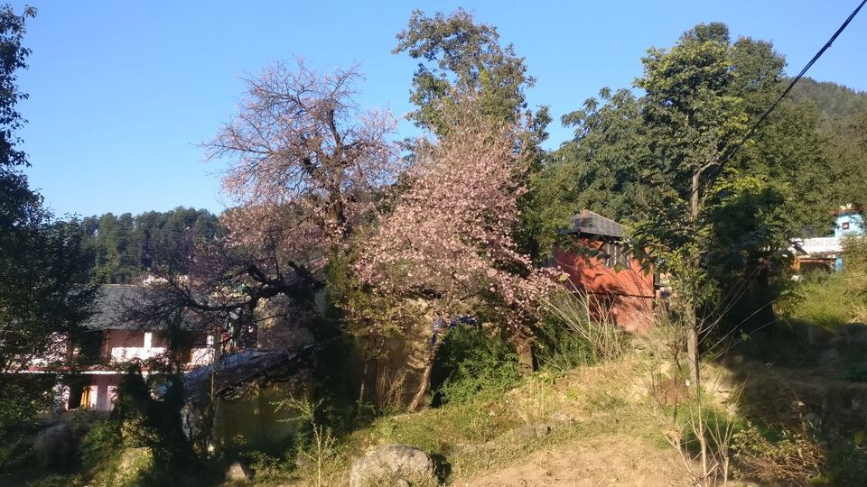 Photo of How to make the most of your Mcleodganj and Dharamshala vacay? 4/10 by VaNi