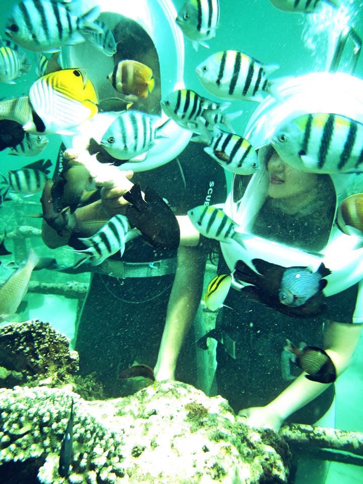 Photo of Bali beyond Honeymoon: Active Volcano Trek, Sea Walking, Rafting and more!! by Earned Leaves Traveler