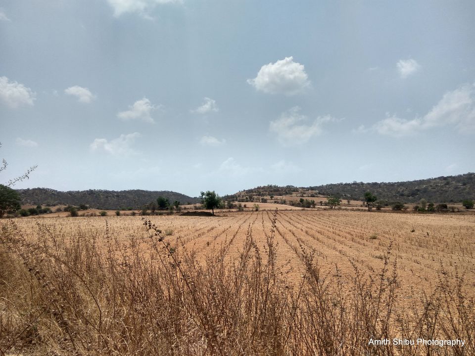 Photo of Family Trip: Thanjavur⇨Dundigal⇨Kodaikanal by Shibu Amith