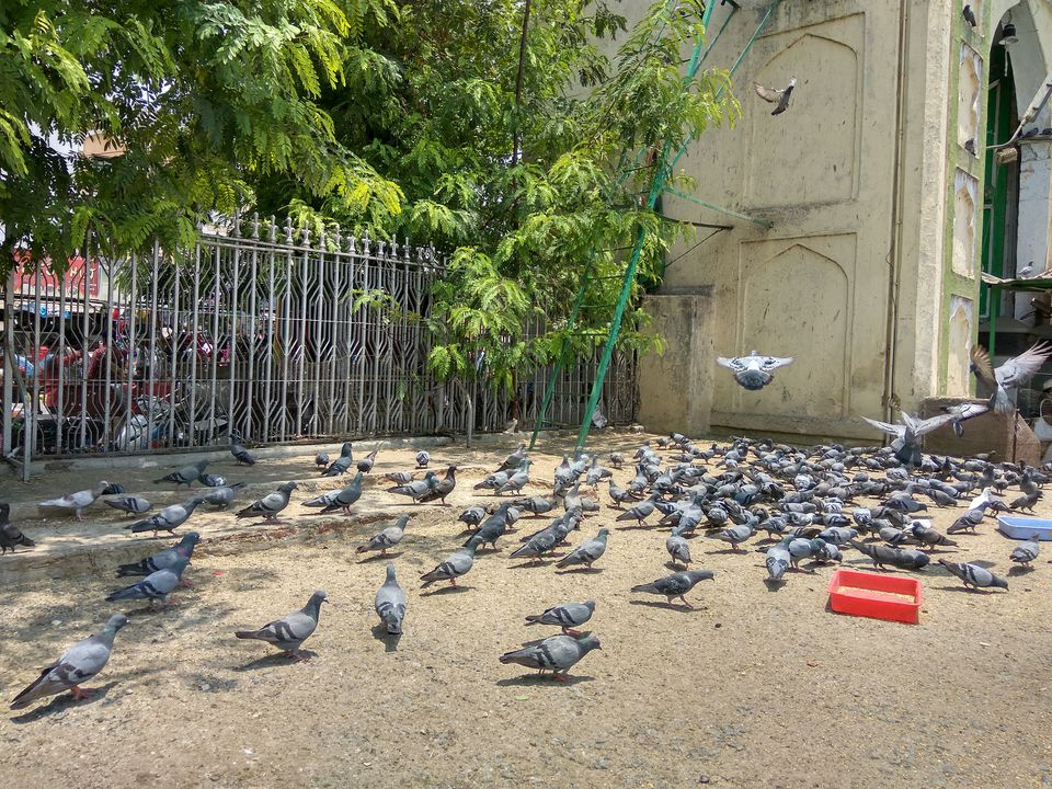 Photo of Hyderabad Roundup by Shibu Amith