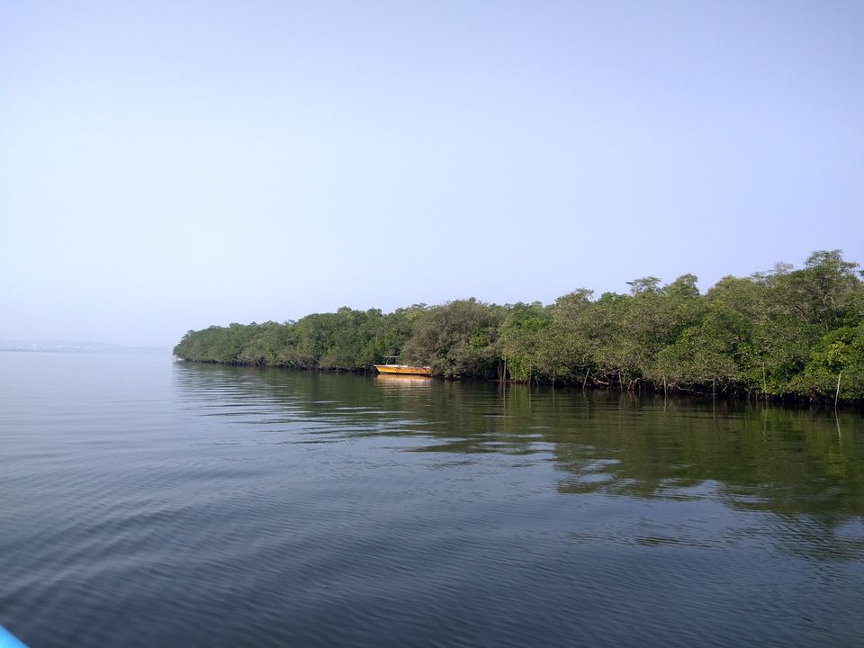 Photo of "Cousins" @ "The Party Capital Of India-Goa " by Shibu Amith