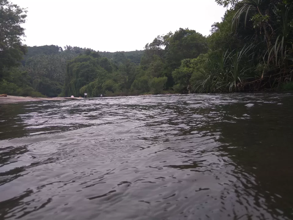 Photo of Janaki Forest, Maruthonkara, Kerala, India by Shibu Amith