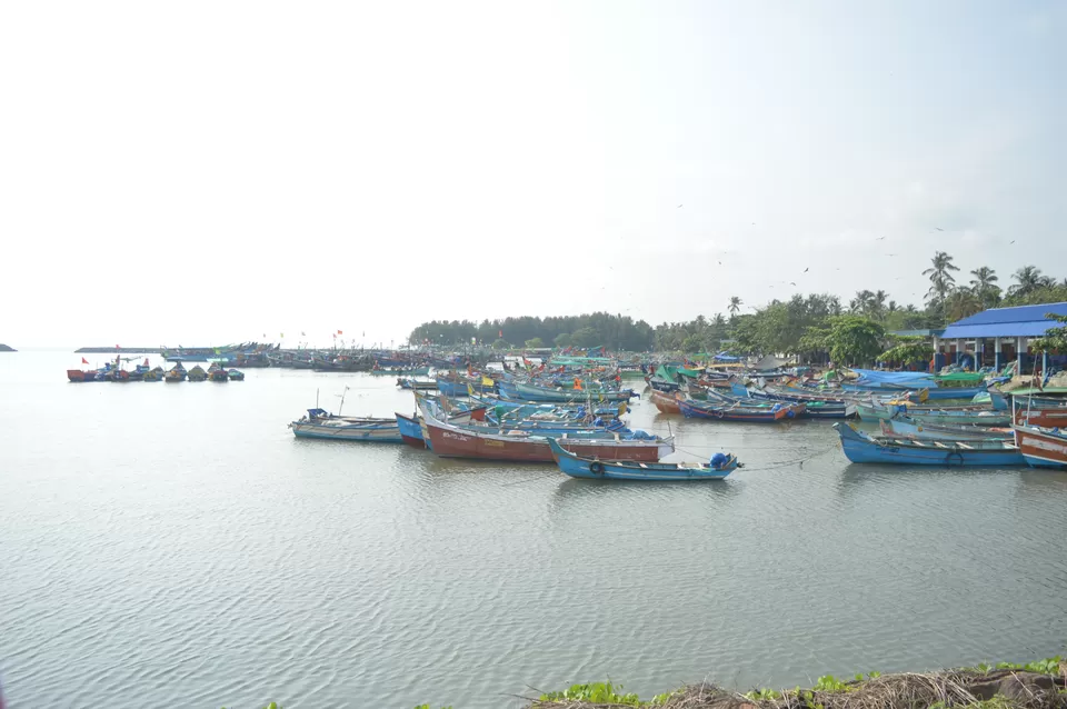 Photo of Chombala Harbor, Chombala, Kerala, India by Shibu Amith