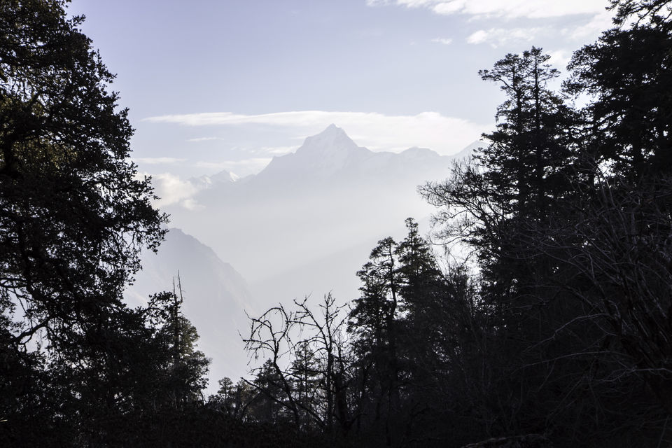 Photo of "Climb Of Success In Mighty Himalayas-Trek to Kuari Pass" by Rohan Modak