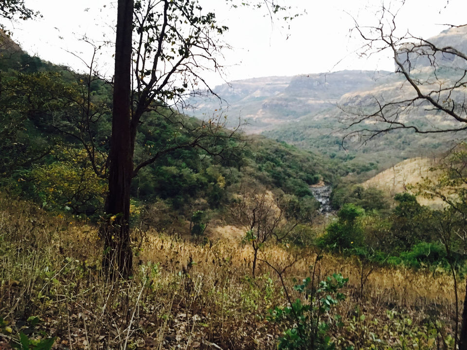 Photo of Bhira, Patnus, Maharashtra, India by Siddharth Shrivastava