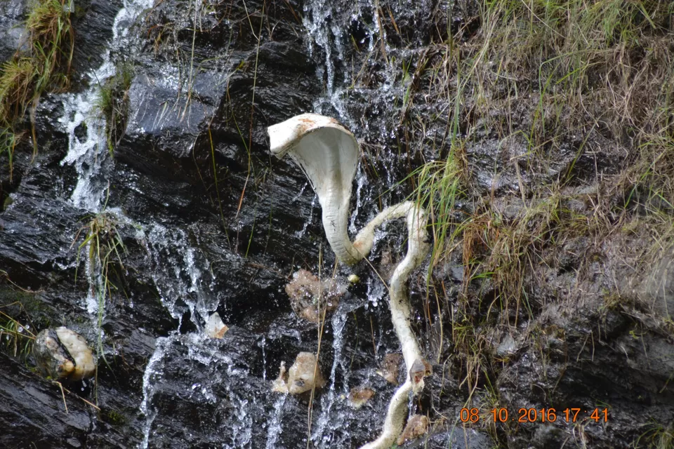 Photo of Shiva Cafe, Dharamshala, Himachal Pradesh, India by Sanjeev Kumar