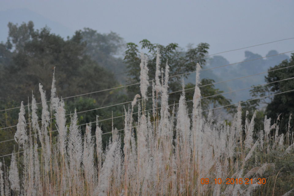 Photo of Dharamshala, Himachal Pradesh, India by Sanjeev Kumar