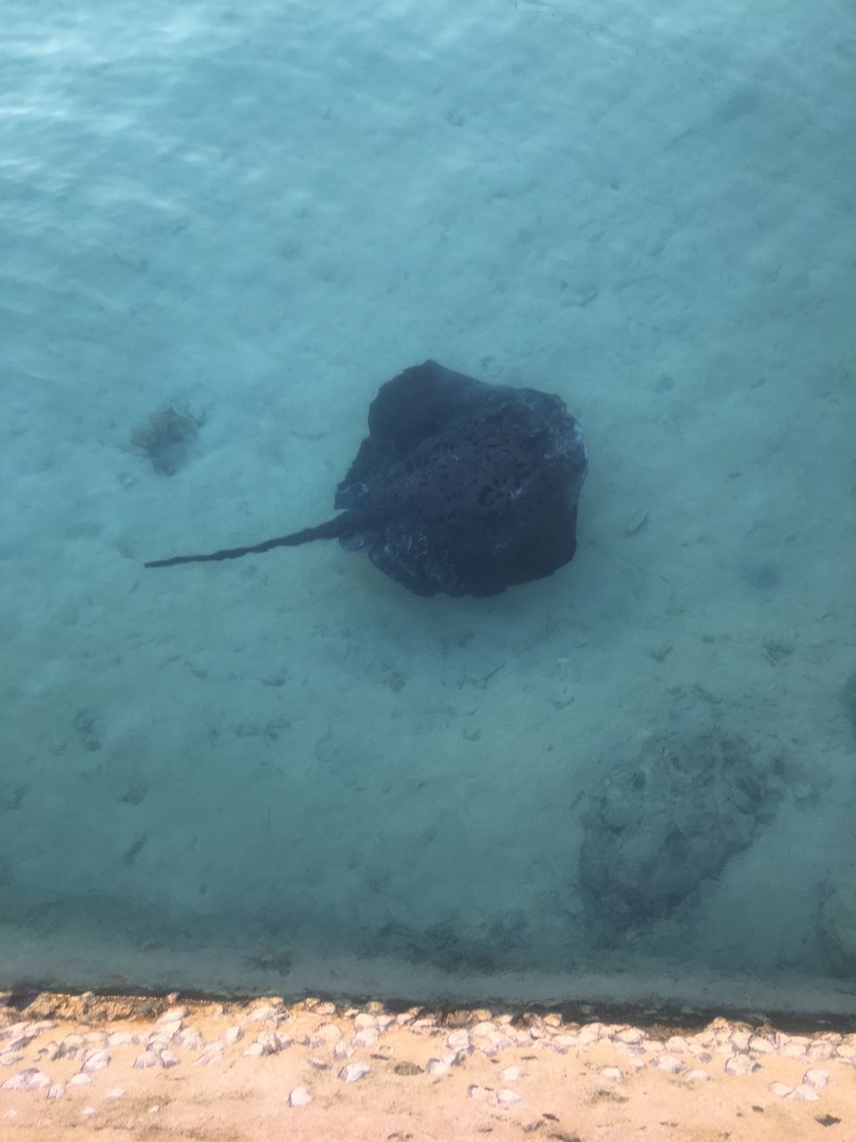 Photo of Probably the cheapest trip to the magnificent Maldives by Abhishek