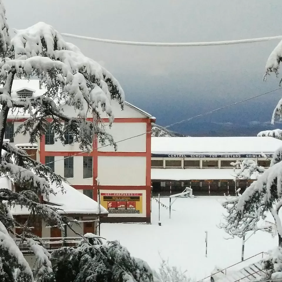 Photo of Shimla, Himachal Pradesh, India by Biswajeet Mishra